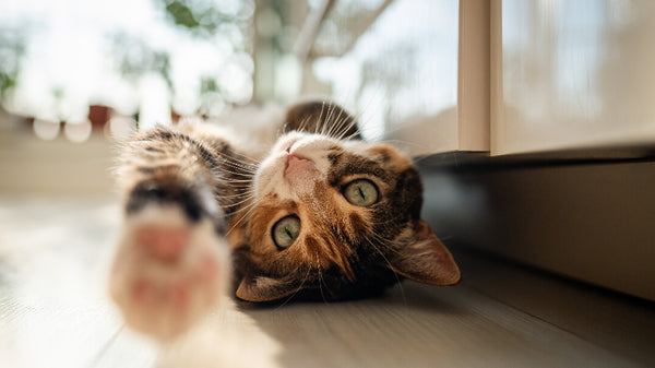 VEČ IGRE, MANJ STRESA