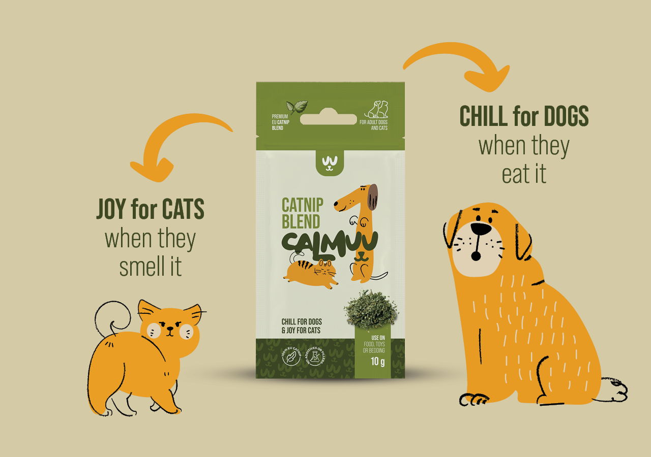 Sušena mačja meta Calmuu – listi in cvetovi v bližnjem posnetku.