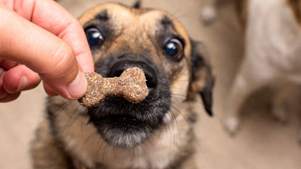 NARAVNO LAJŠANJE STRESA