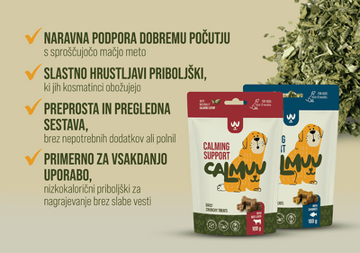 Calm Support Dog Treats - Fish & Catnip - 100g - CalmuuCalmuu