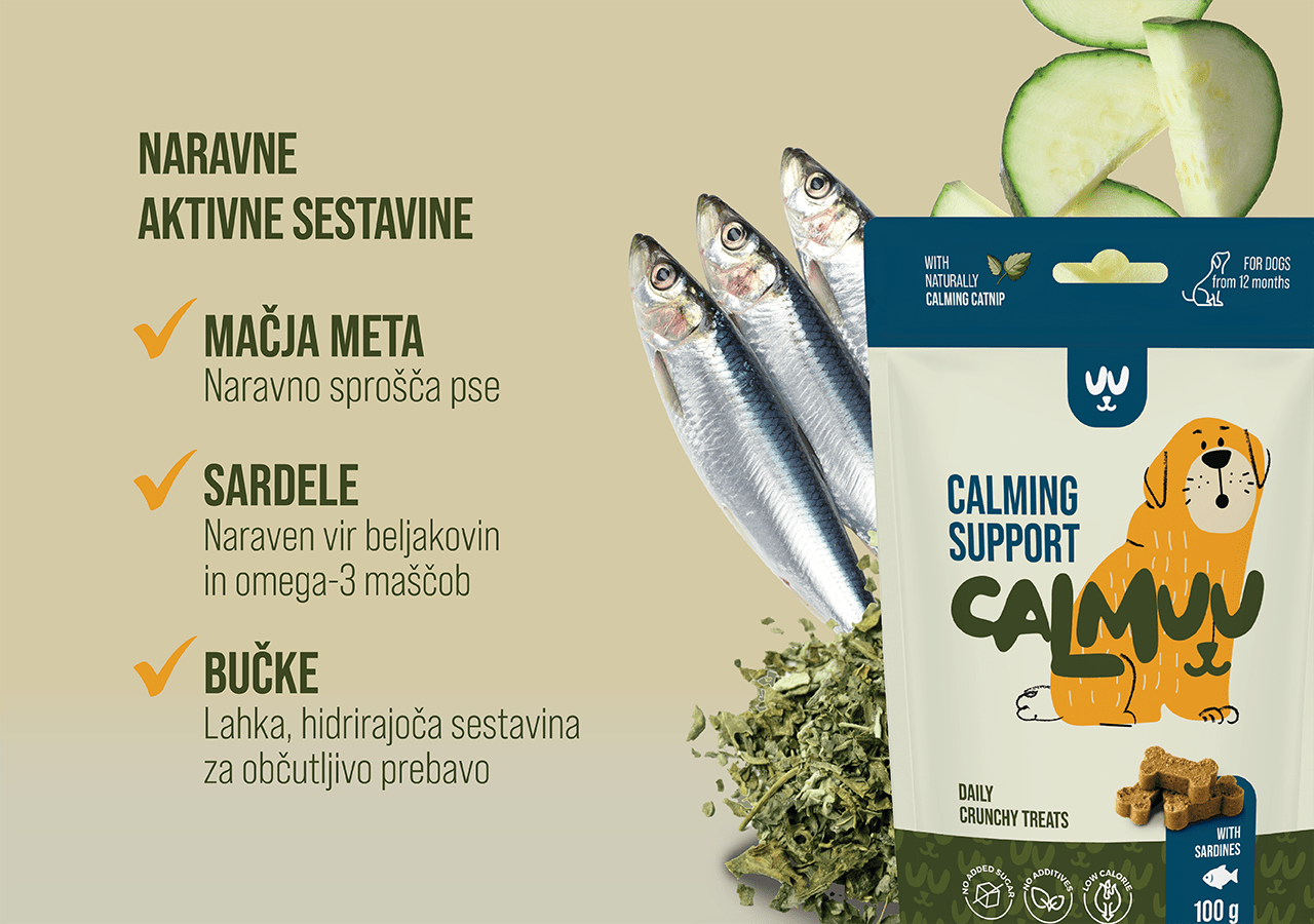 Calm Support Dog Treats - Fish & Catnip - 100g - CalmuuCalmuu