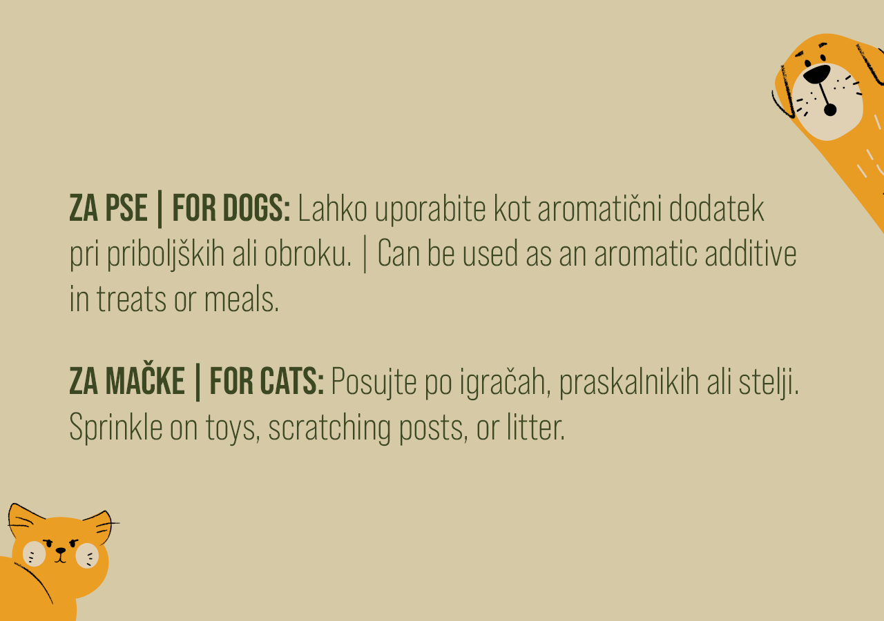 Catnip Blend – 100% naravno, brez dodatkov, mačja meta za mačke in pse