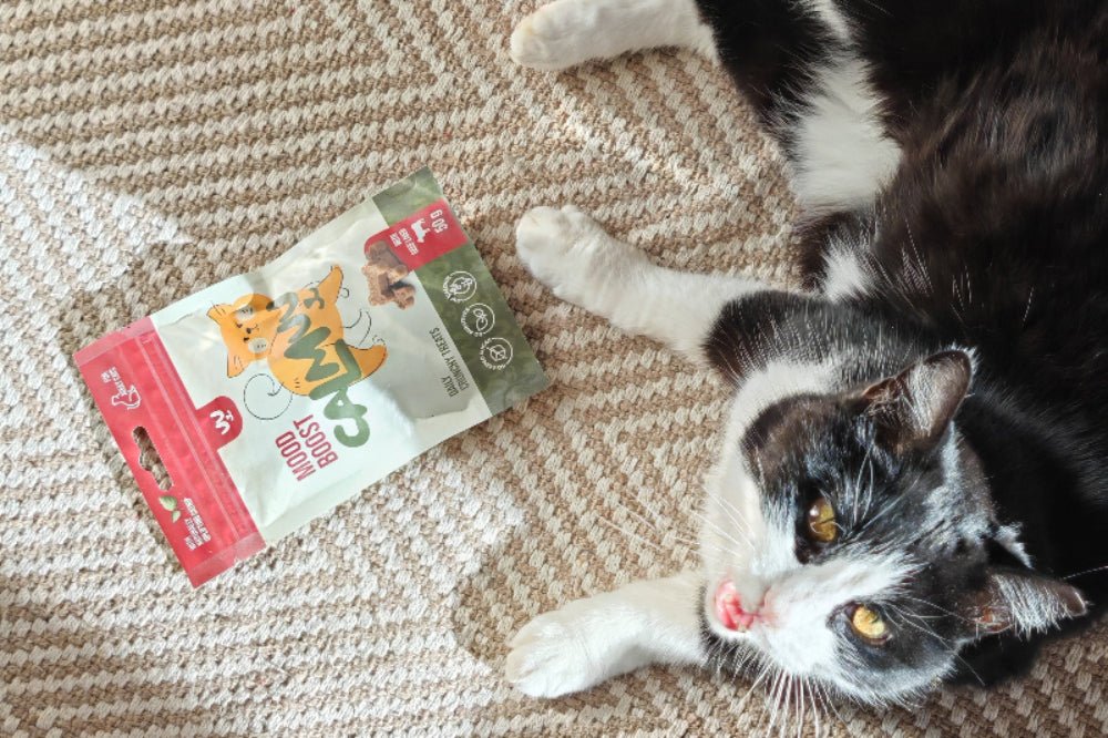 Mačka ob priboljških Calmuu Mood Boost – vsakodnevno nagrajevanje in igrivost