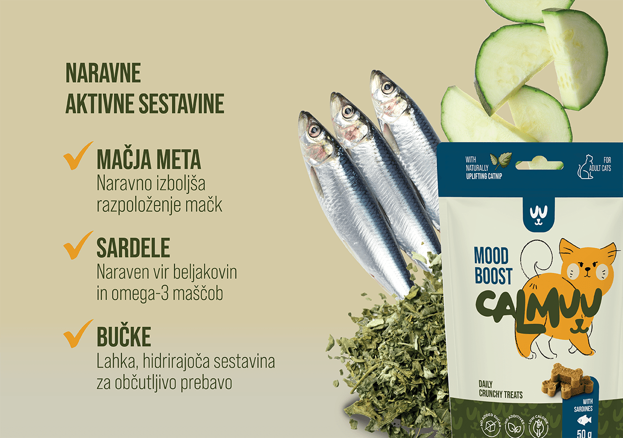 Mood Boost Cat Treats - Fish & Catnip - 50g - CalmuuCalmuu